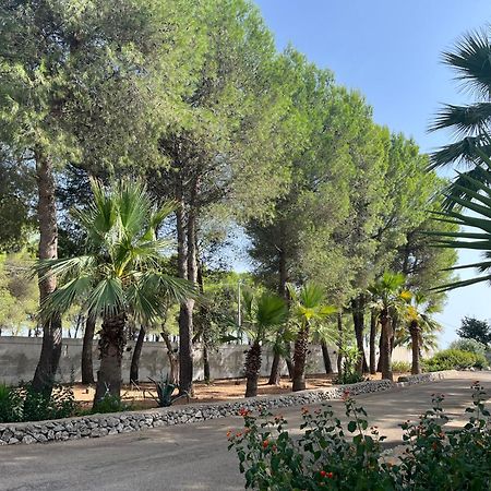 Casette Masseria La Camardia Sava Buitenkant foto