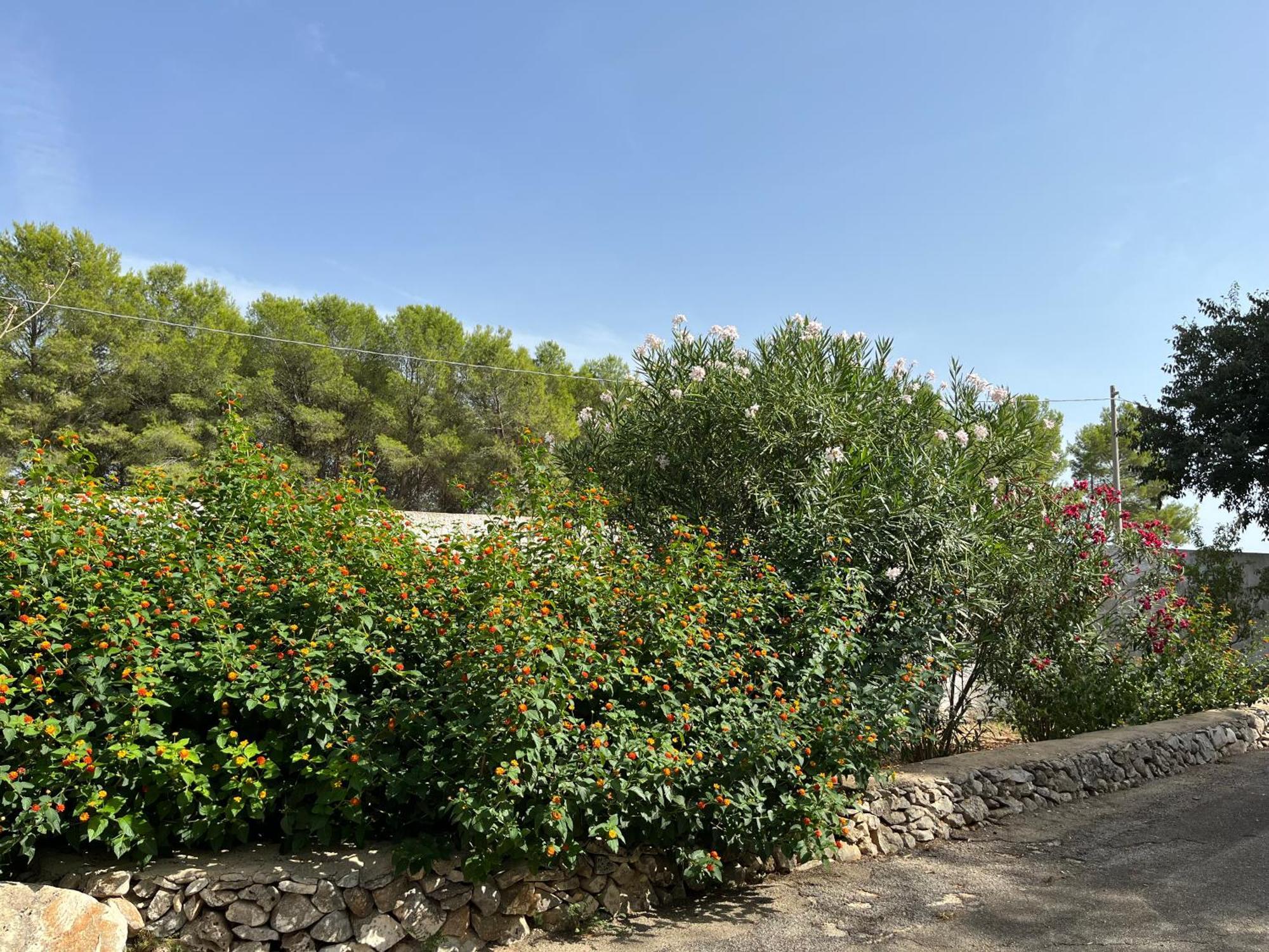 Casette Masseria La Camardia Sava Buitenkant foto