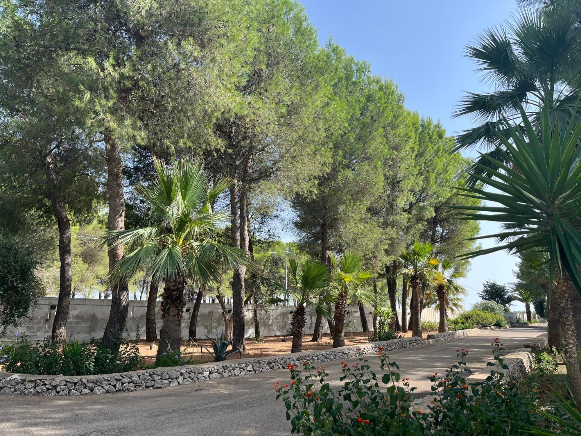 Casette Masseria La Camardia Sava Buitenkant foto
