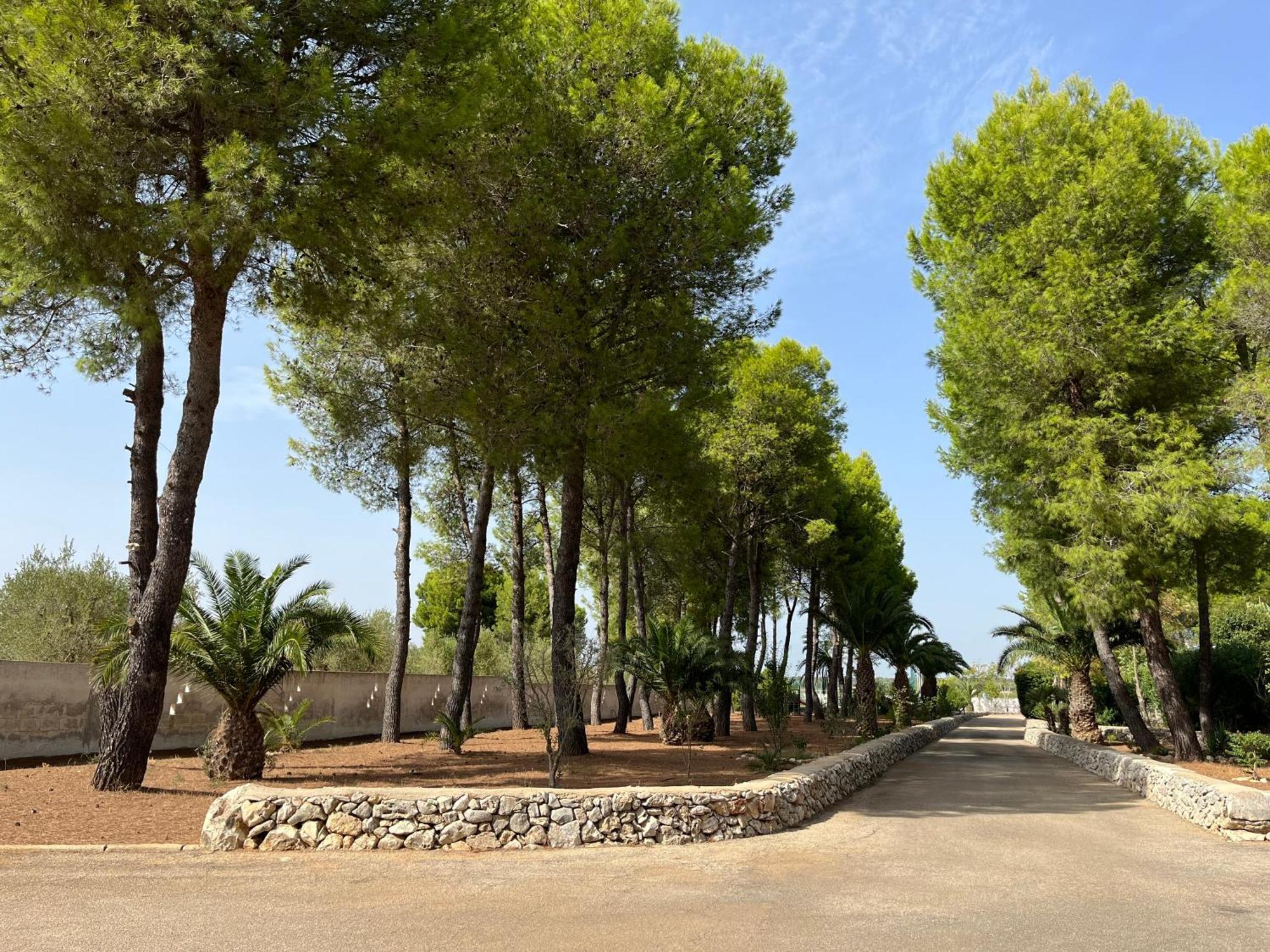 Casette Masseria La Camardia Sava Buitenkant foto