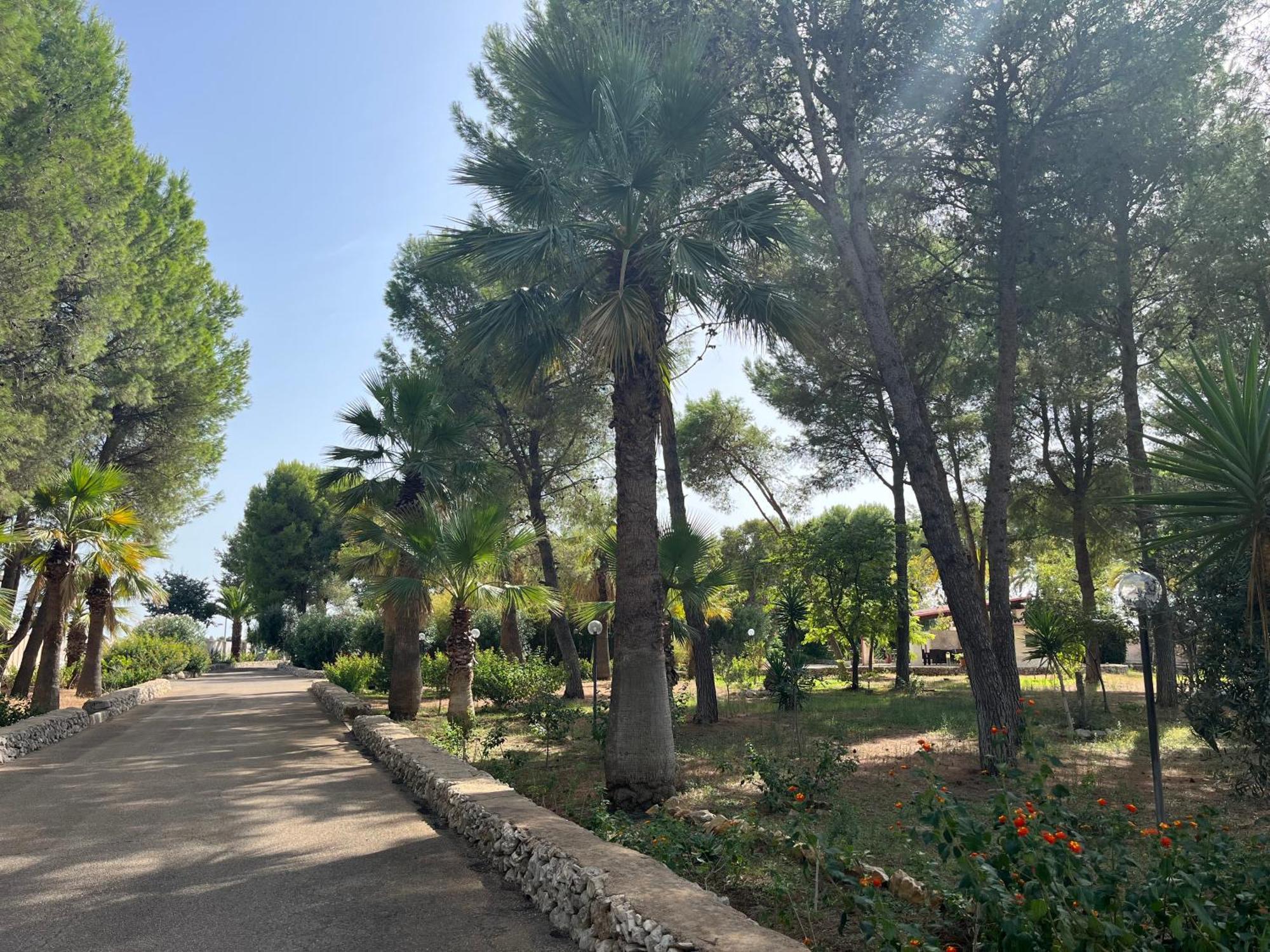 Casette Masseria La Camardia Sava Buitenkant foto