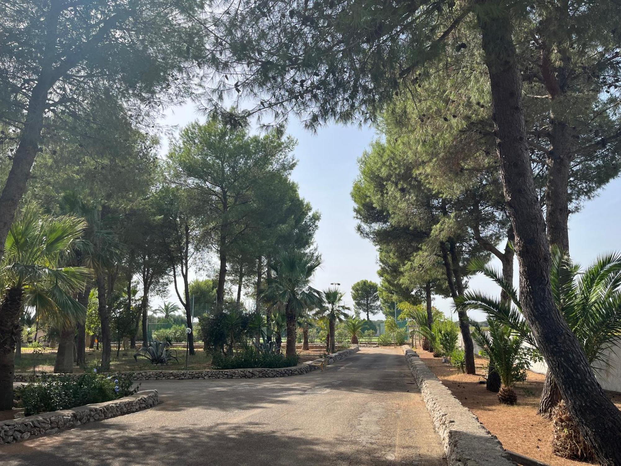 Casette Masseria La Camardia Sava Buitenkant foto