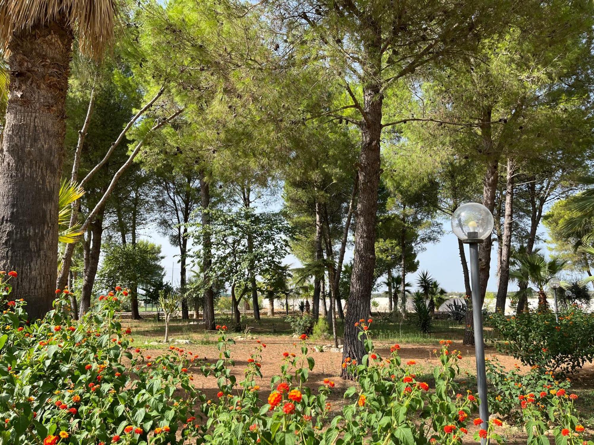 Casette Masseria La Camardia Sava Buitenkant foto