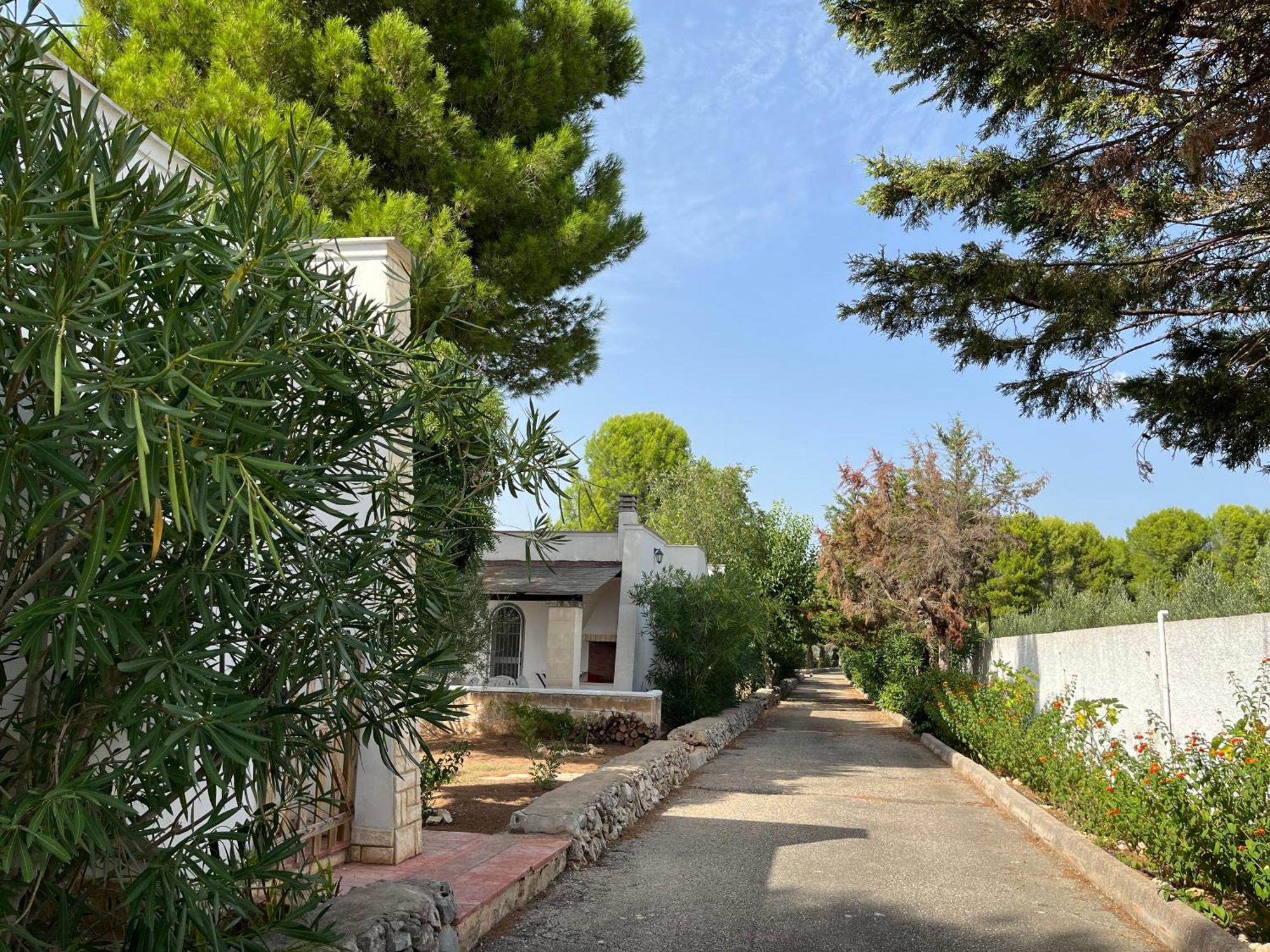 Casette Masseria La Camardia Sava Buitenkant foto