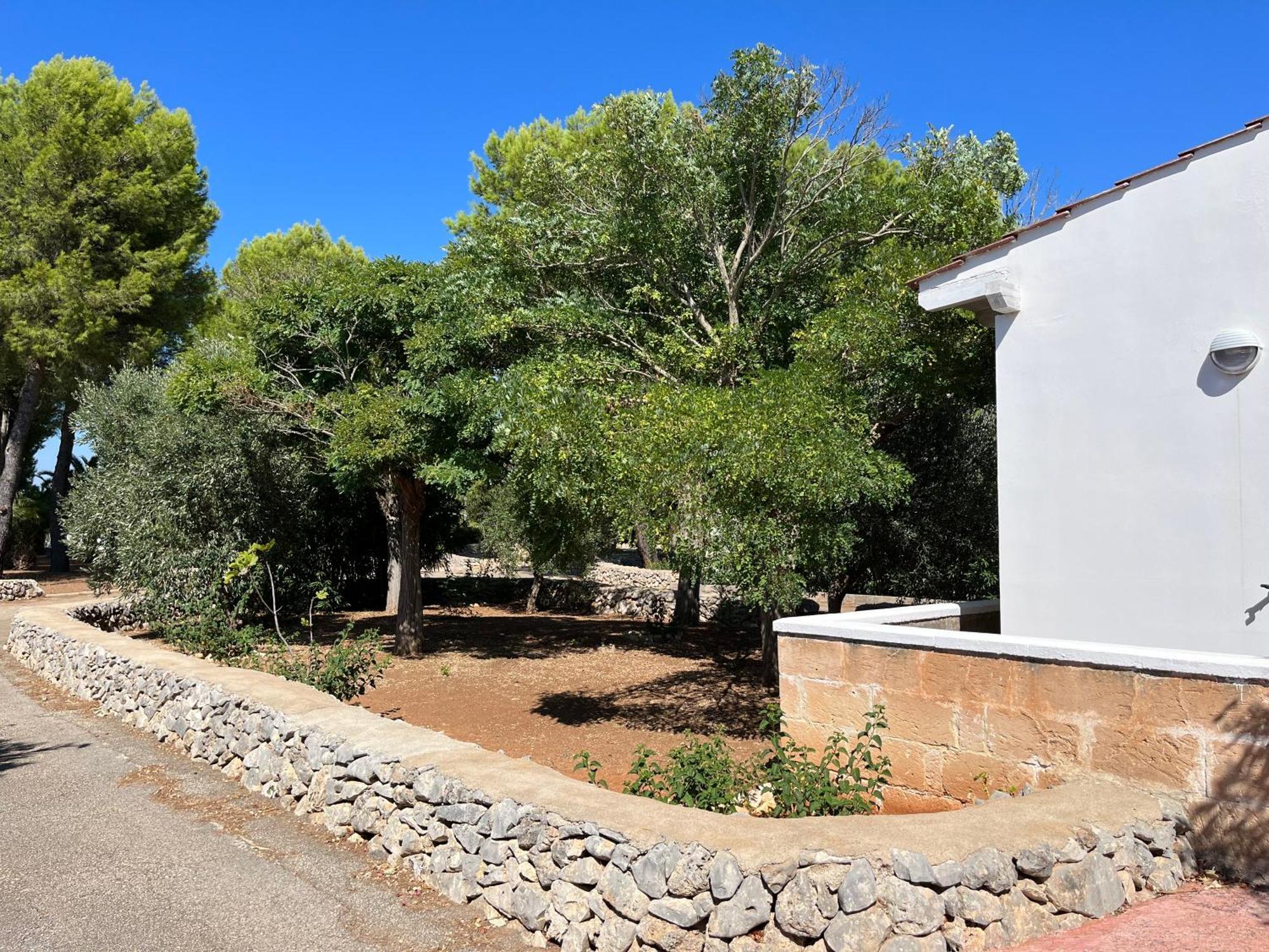 Casette Masseria La Camardia Sava Buitenkant foto