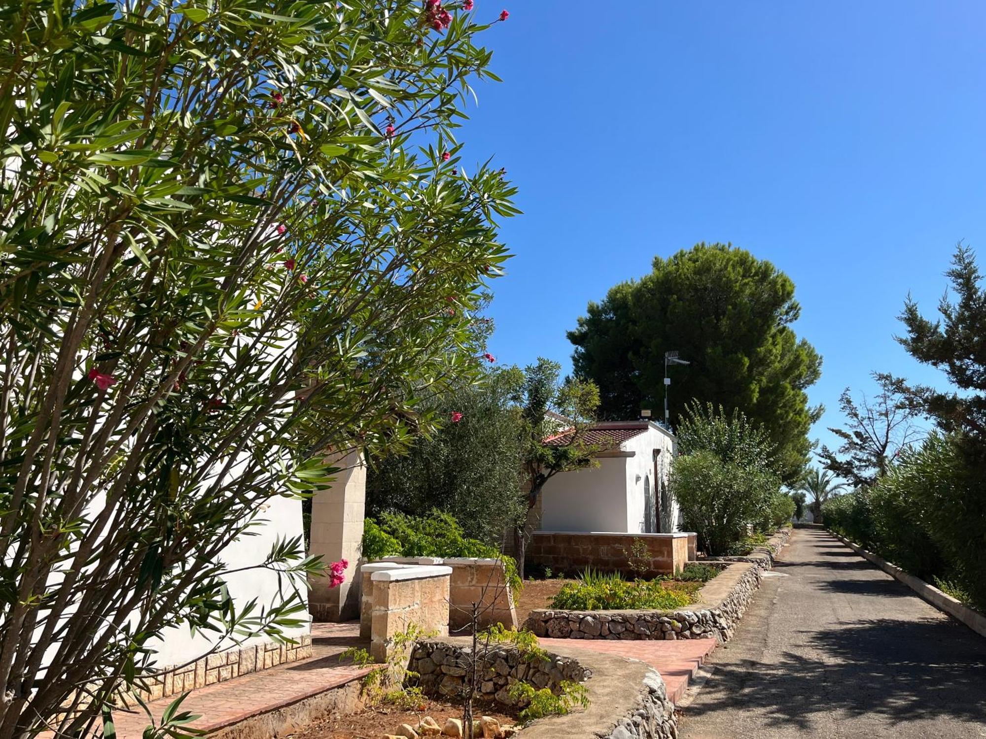 Casette Masseria La Camardia Sava Buitenkant foto