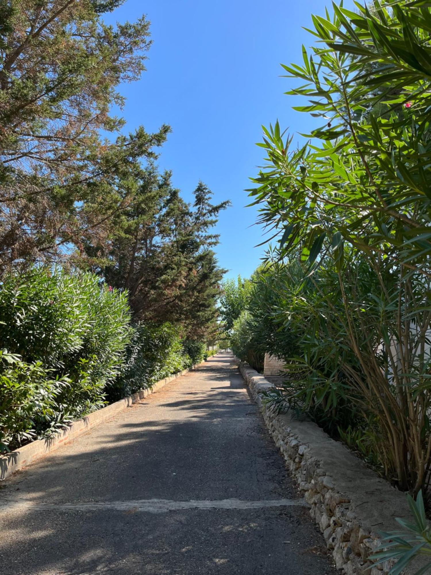 Casette Masseria La Camardia Sava Buitenkant foto